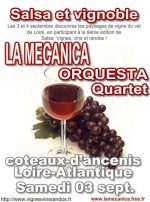 022-Salsa_et_vignoble_coteaux-d_ancenis_Loire-Atlantique_03septembre2011