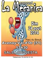 047salsa-epernay-aout-2014-lamecanica